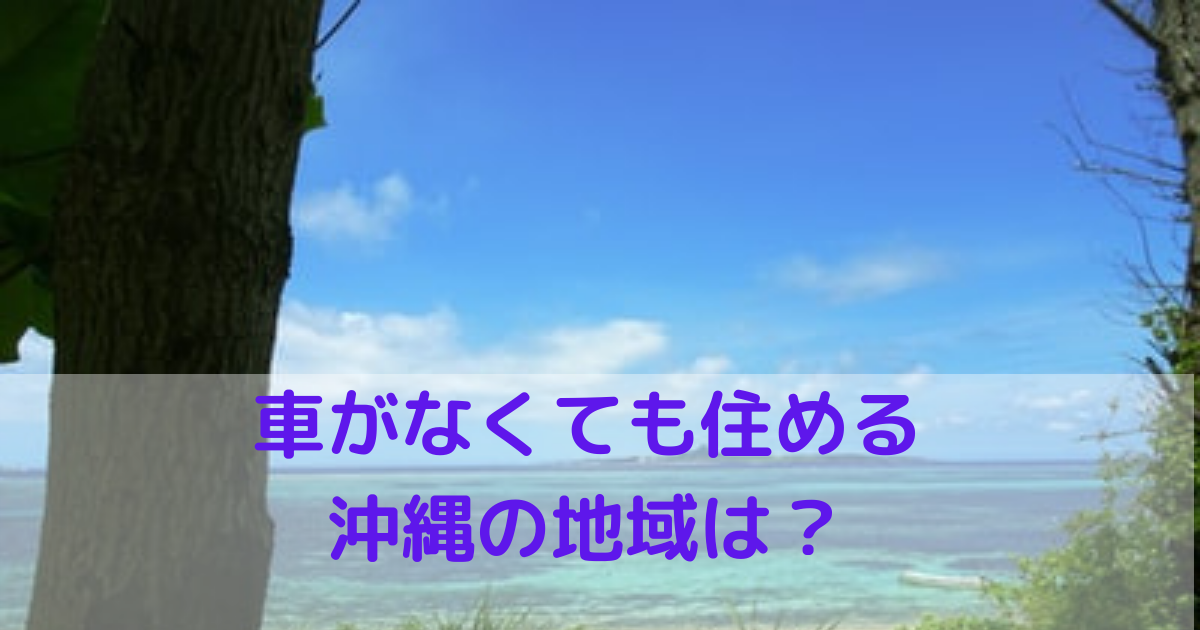 車がなくても住める沖縄の地域は？