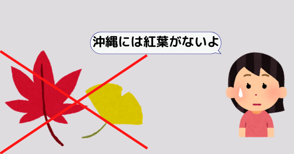 沖縄には
モミジ
イチョウ
カエデ
などの紅葉がない。