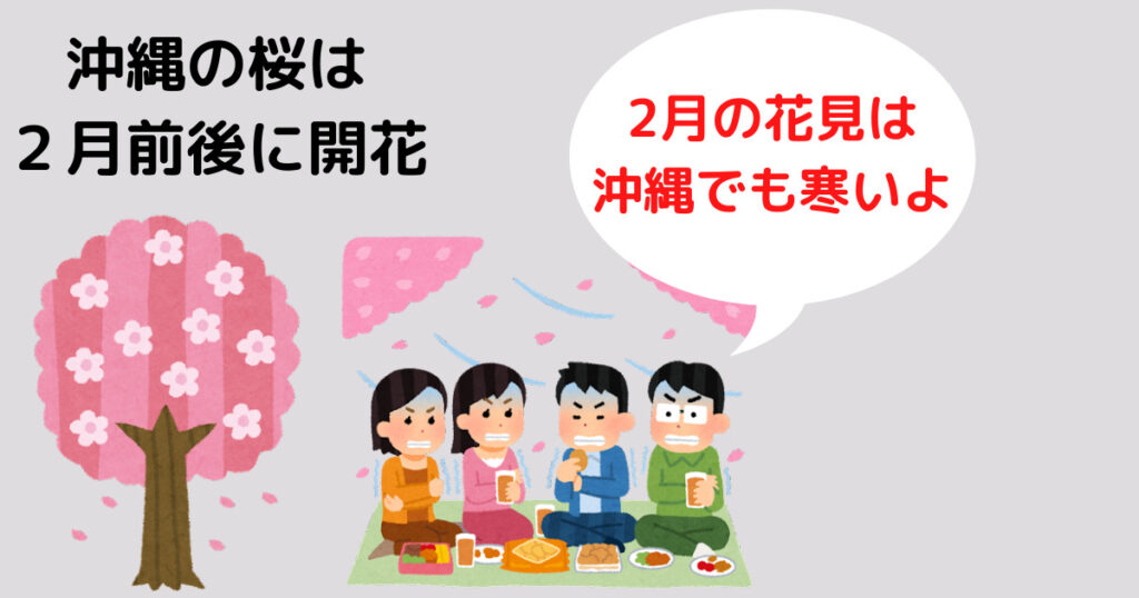 沖縄の桜は2月前後に開花。沖縄でも2月は寒いため花見をすることがない。