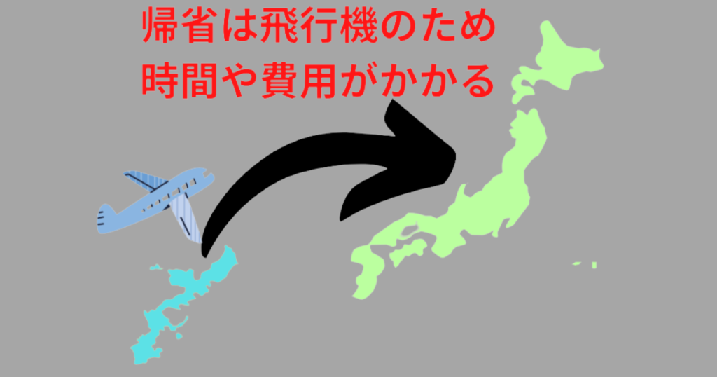 帰省は飛行機のため時間や費用がかかる。