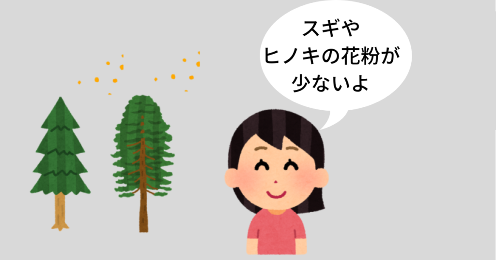 スギやヒノキの花粉が少ない